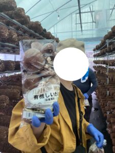 【きのこ収穫体験】岐阜県郡上市和良町のオーガニックきのこ農園で椎茸と木耳を収穫してきました！