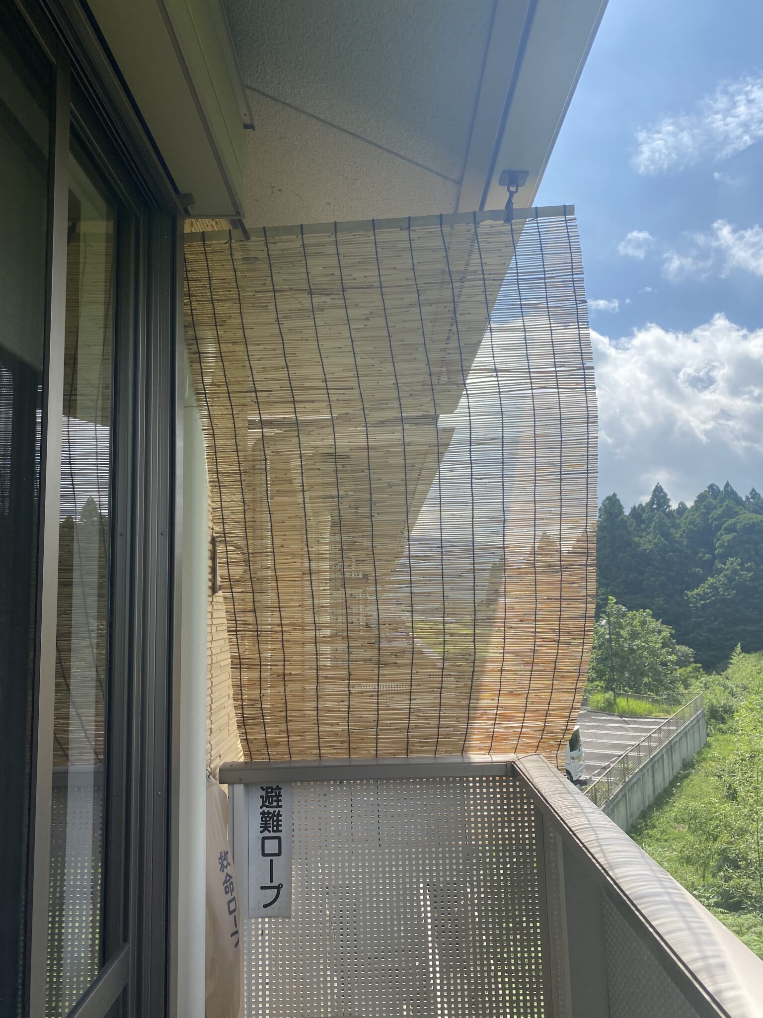【賃貸ベランダの隣との間に目隠しがしたい…!】500円!すだれとフックを使って目隠ししてみた - ガジュマル編集室
